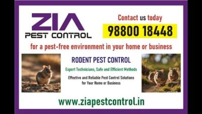Rodent Control Services for Restaurants & Residences | Pest Management for Paying Guests
